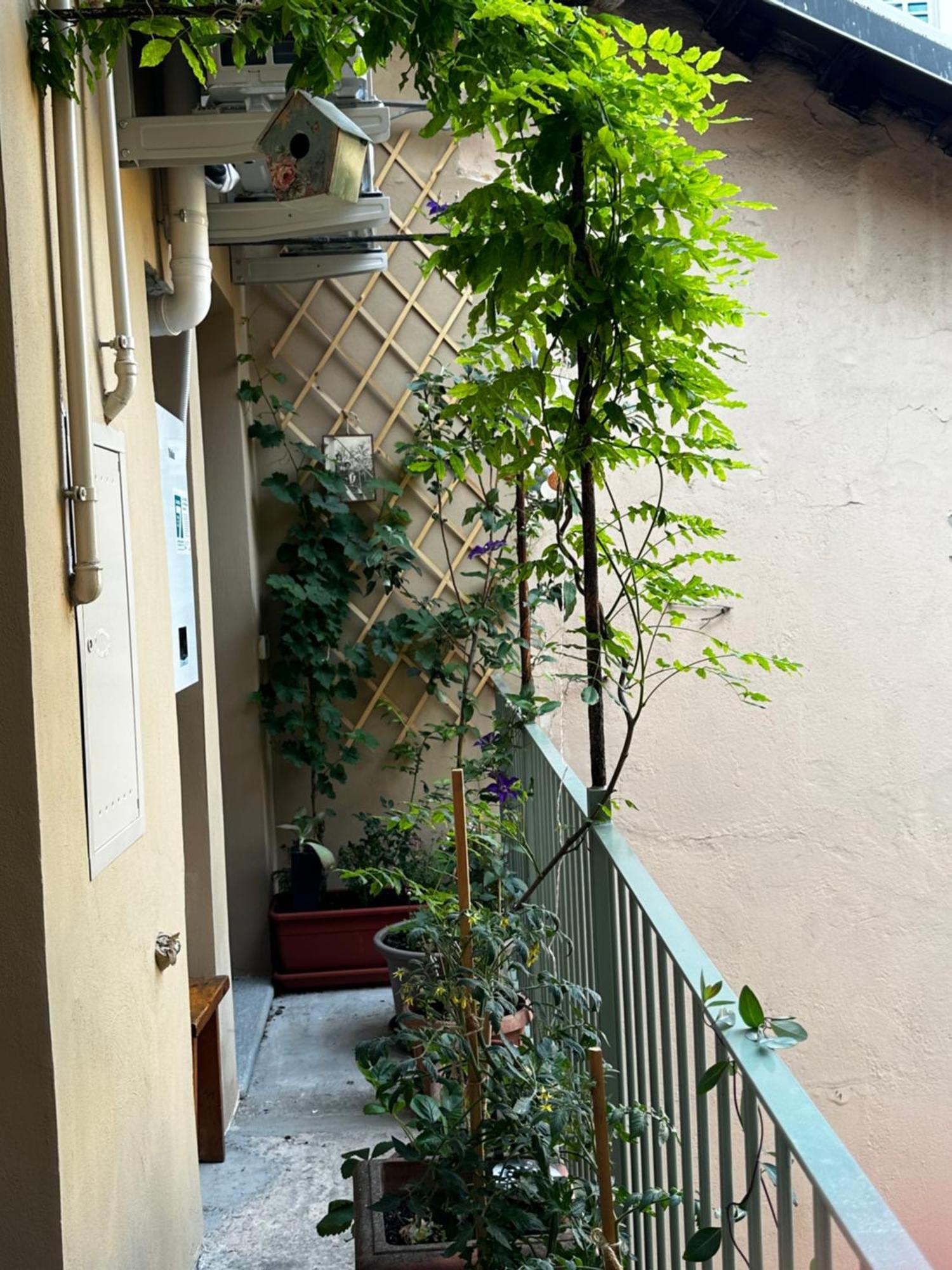 Apartamento Il Balconcino Del Centro Storico Turín Exterior foto